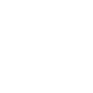 GMP<br> ISO 22716